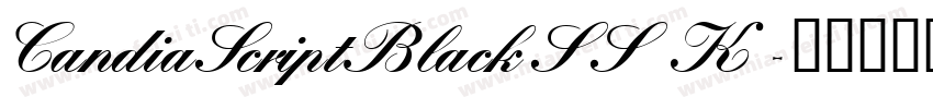CandiaScriptBlackSSK字体转换