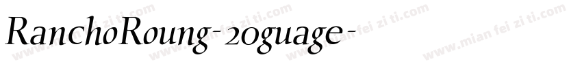 RanchoRoung-20guage字体转换