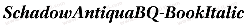 SchadowAntiquaBQ-BookItalic字体转换