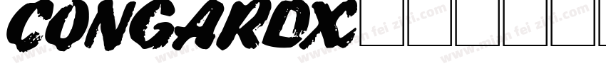 CONGARDX18字体转换