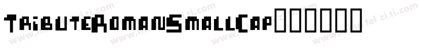 TributeRomanSmallCap字体转换