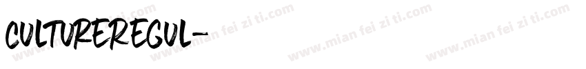 CultureRegul字体转换