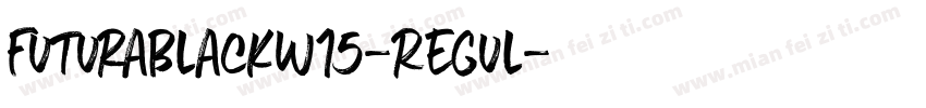 FuturaBlackW15-Regul字体转换