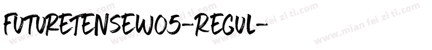 FutureTenseW05-Regul字体转换