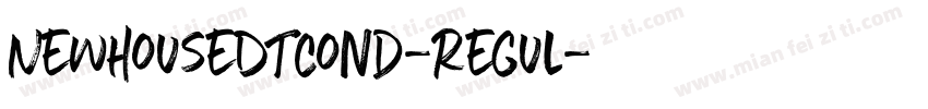 NewhouseDTCond-Regul字体转换