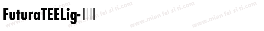 FuturaTEELig字体转换
