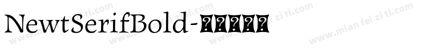 NewtSerifBold字体转换
