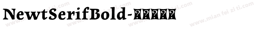 NewtSerifBold字体转换