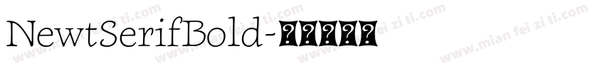 NewtSerifBold字体转换