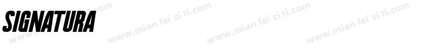 Signatura字体转换