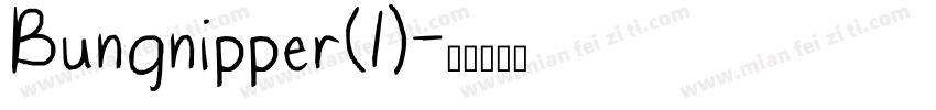 Bungnipper(1)字体转换