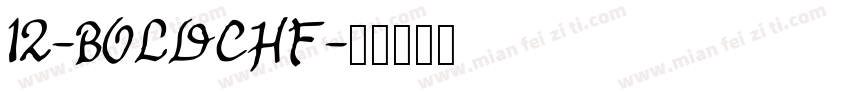 12-BOLDCHF字体转换