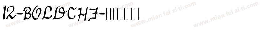 12-BOLDCHF字体转换