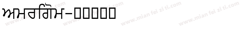 Amrigom字体转换