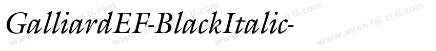 GalliardEF-BlackItalic字体转换