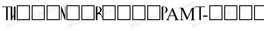 TimesNewRomanPAMT字体转换