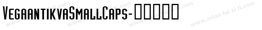 VegaantikvaSmallCaps字体转换