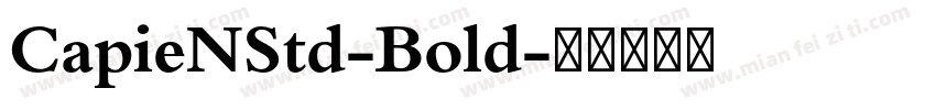 CapieNStd-Bold字体转换