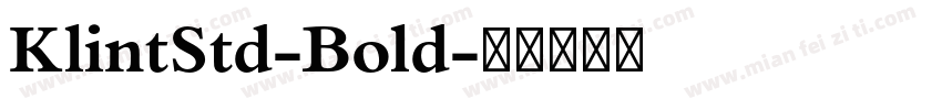 KlintStd-Bold字体转换
