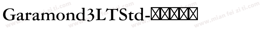 Garamond3LTStd字体转换