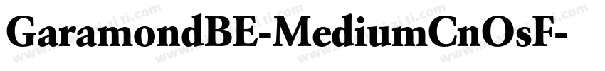 GaramondBE-MediumCnOsF字体转换