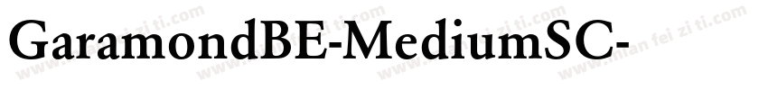 GaramondBE-MediumSC字体转换