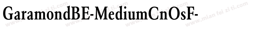 GaramondBE-MediumCnOsF字体转换