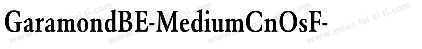GaramondBE-MediumCnOsF字体转换