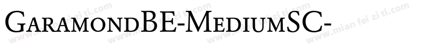 GaramondBE-MediumSC字体转换