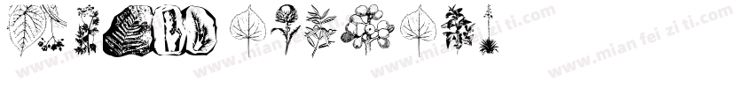 botanical字体转换