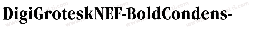 DigiGroteskNEF-BoldCondens字体转换