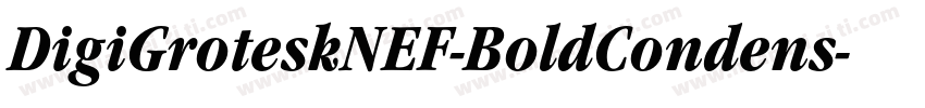 DigiGroteskNEF-BoldCondens字体转换