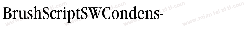 BrushScriptSWCondens字体转换