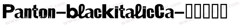 Panton-blackitalicCa字体转换