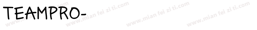 TEAMPRO字体转换