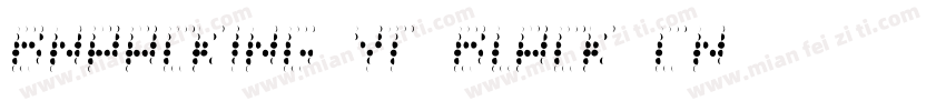 Bnpacking-YT-Black-CN字体转换