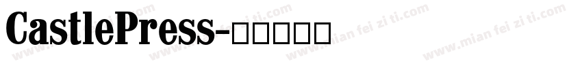 CastlePress字体转换