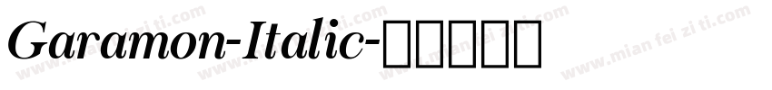 Garamon-Italic字体转换