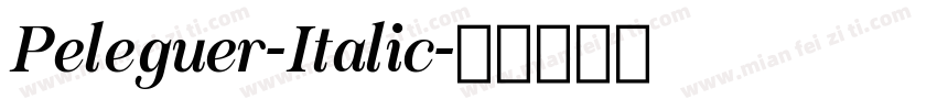 Peleguer-Italic字体转换