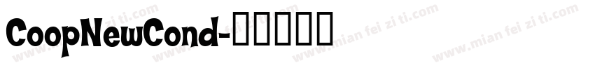 CoopNewCond字体转换