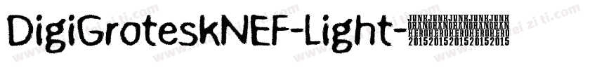 DigiGroteskNEF-Light字体转换