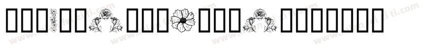 DoverSansDisplay字体转换