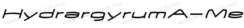 HydrargyrumA-MediumOblique字体转换