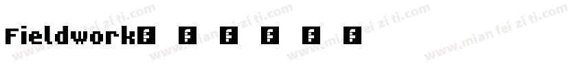 Fieldwork字体转换