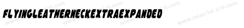 FlyingLeatherneckExtraExpanded-WnzA字体转换