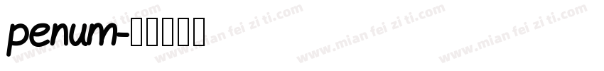penum字体转换
