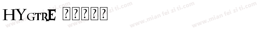 HYgtrE字体转换