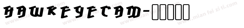 HawkeyeCam字体转换