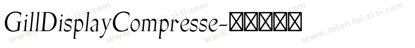 GillDisplayCompresse字体转换