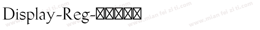 Display-Reg字体转换